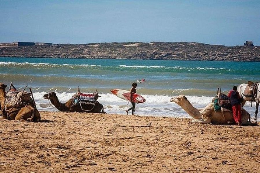 Private transfer From Marrakech to Essaouira