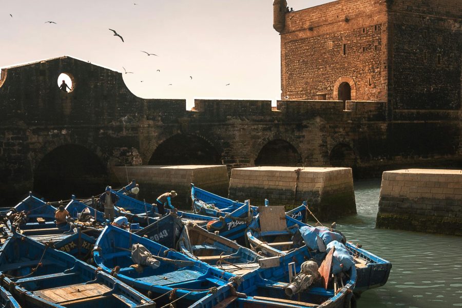 Private day trip from Marrakech to Essaouira