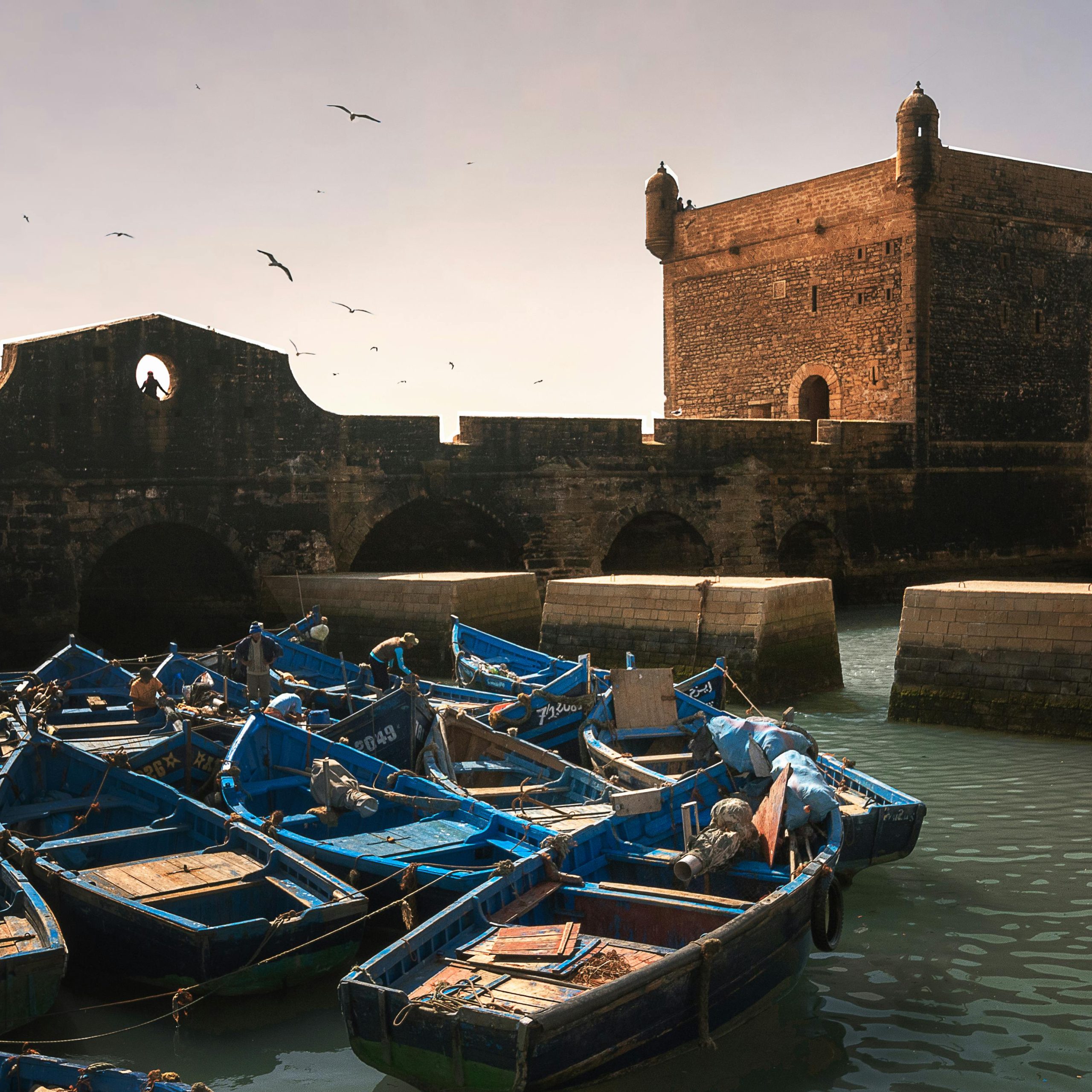 Private day trip from Marrakech to Essaouira
