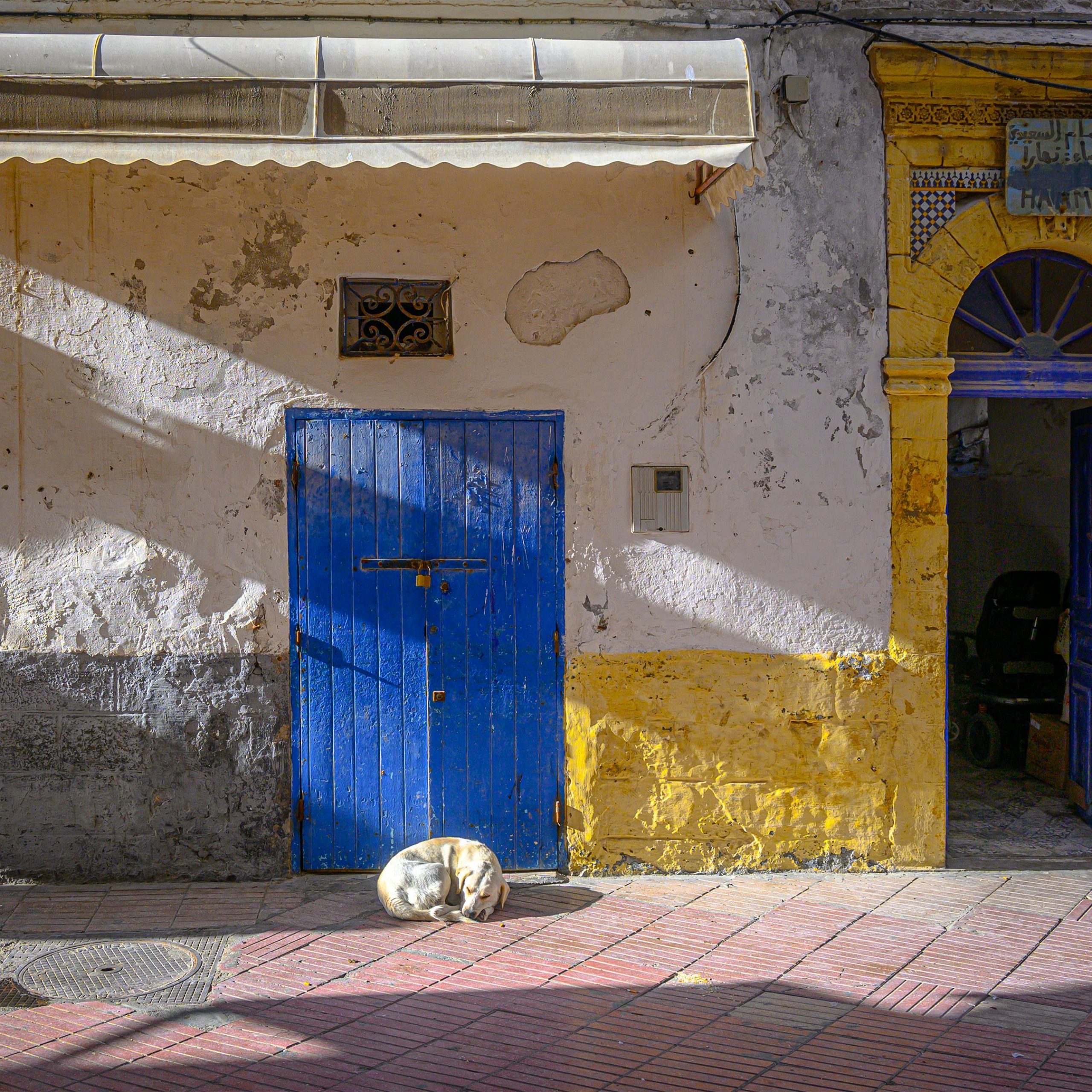 Private day trip from Marrakech to Essaouira