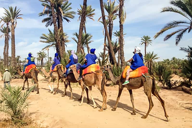 Camel Ride in the Palmeraie
