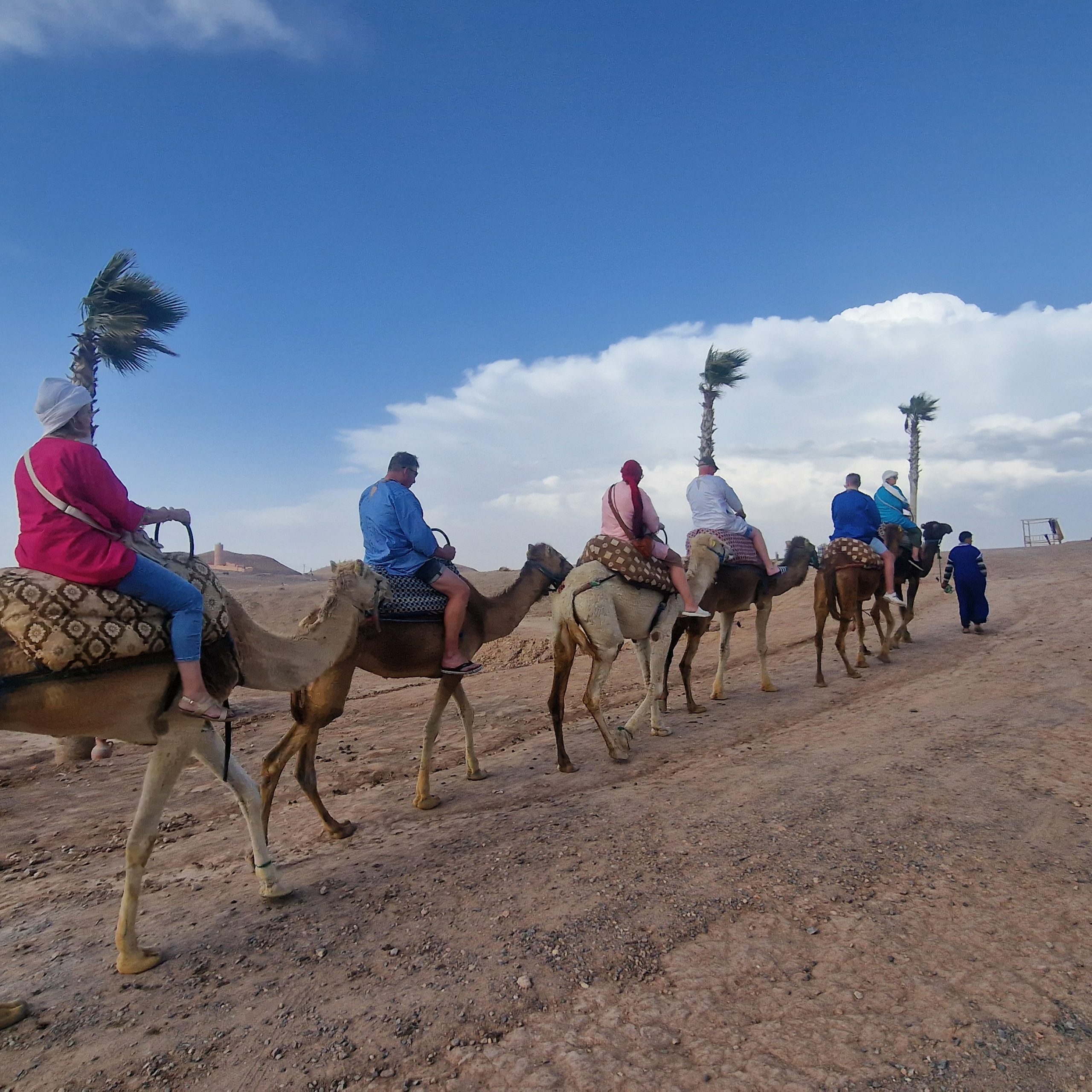 Camel Ride in the Agafay Desert