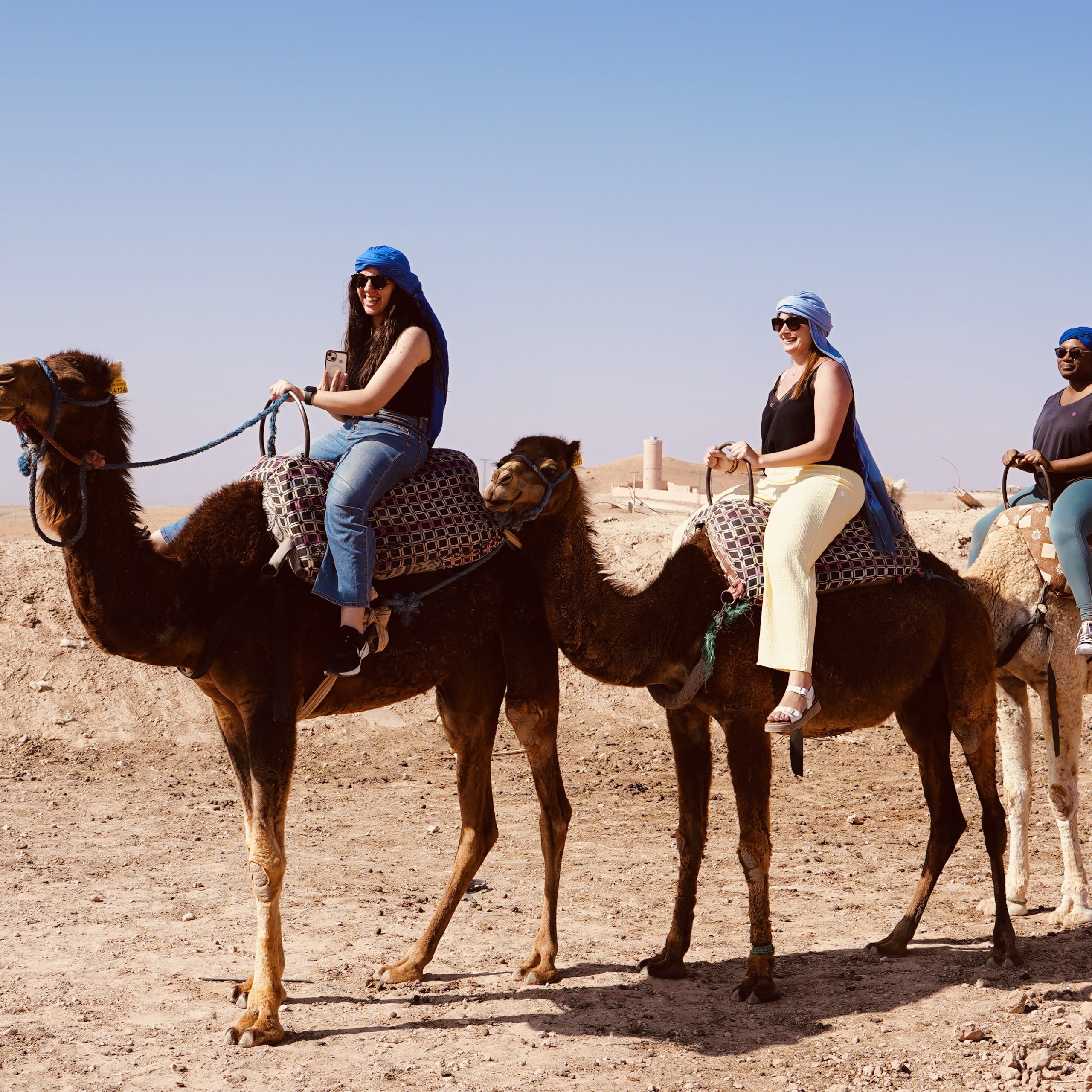 Camel Ride in the Agafay Desert