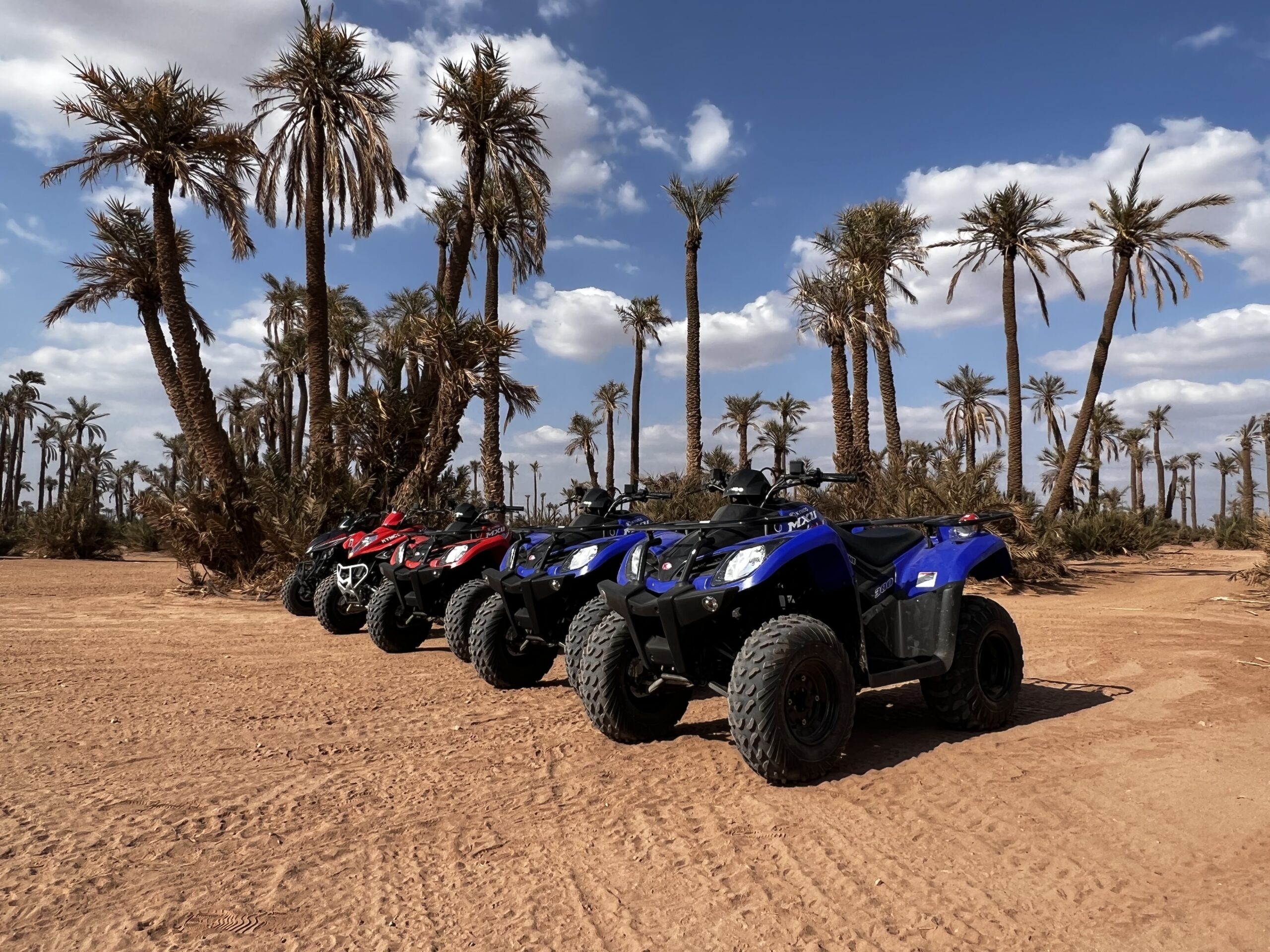 Quad Biking in the Palmeraie