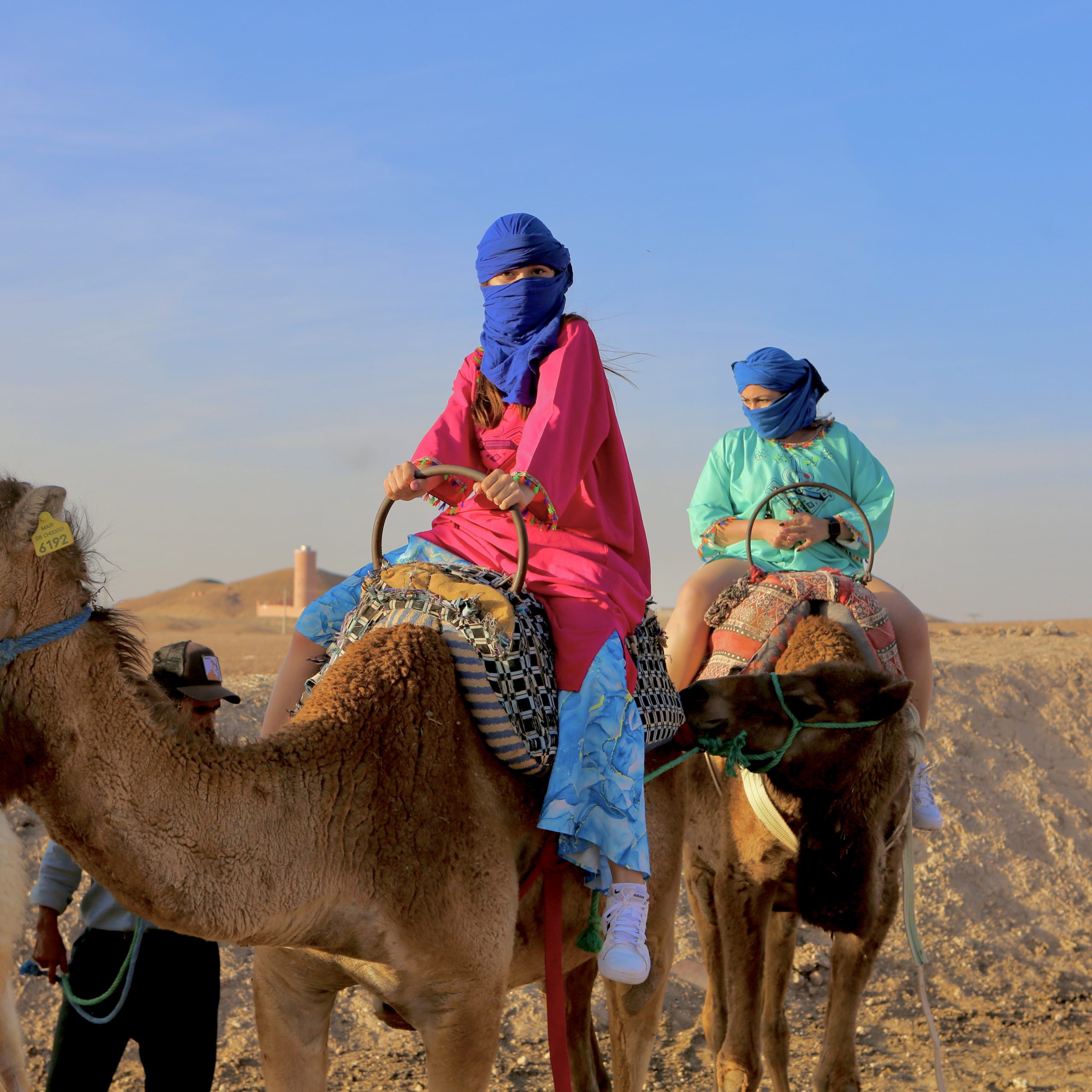 Camel Ride in the Agafay Desert