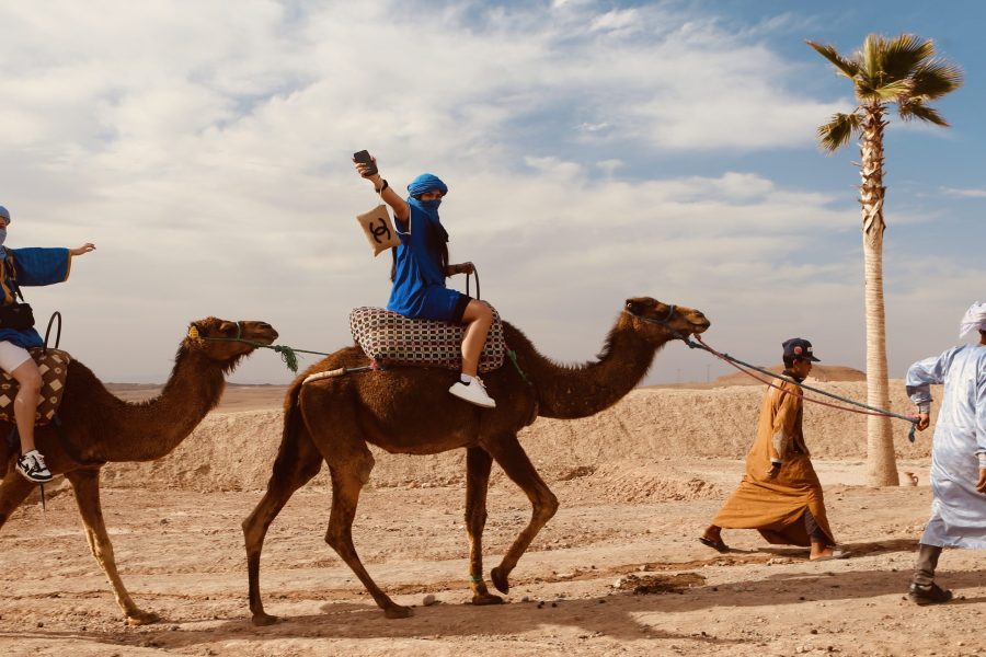 Camel Ride in the Agafay Desert