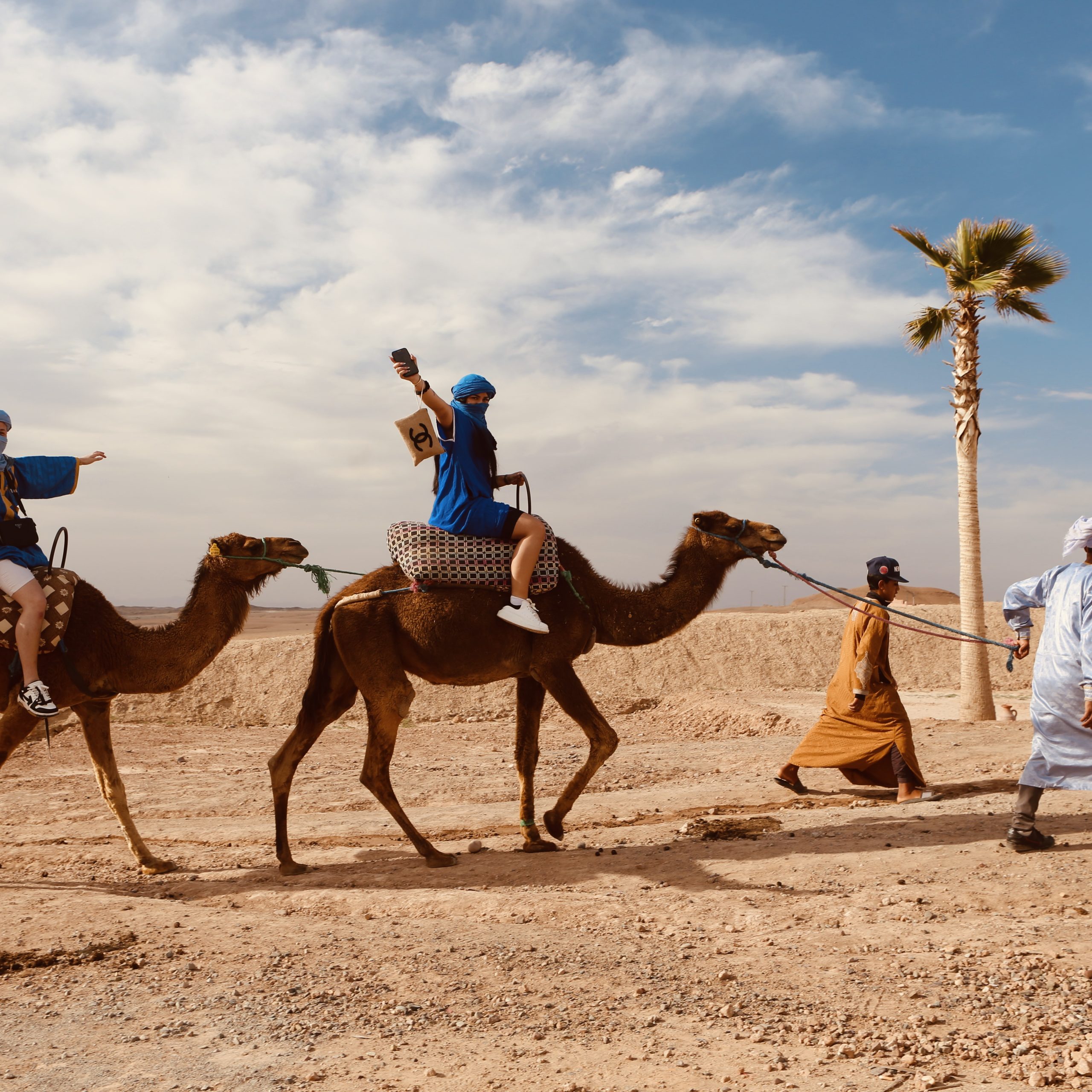 Camel Ride in the Agafay Desert