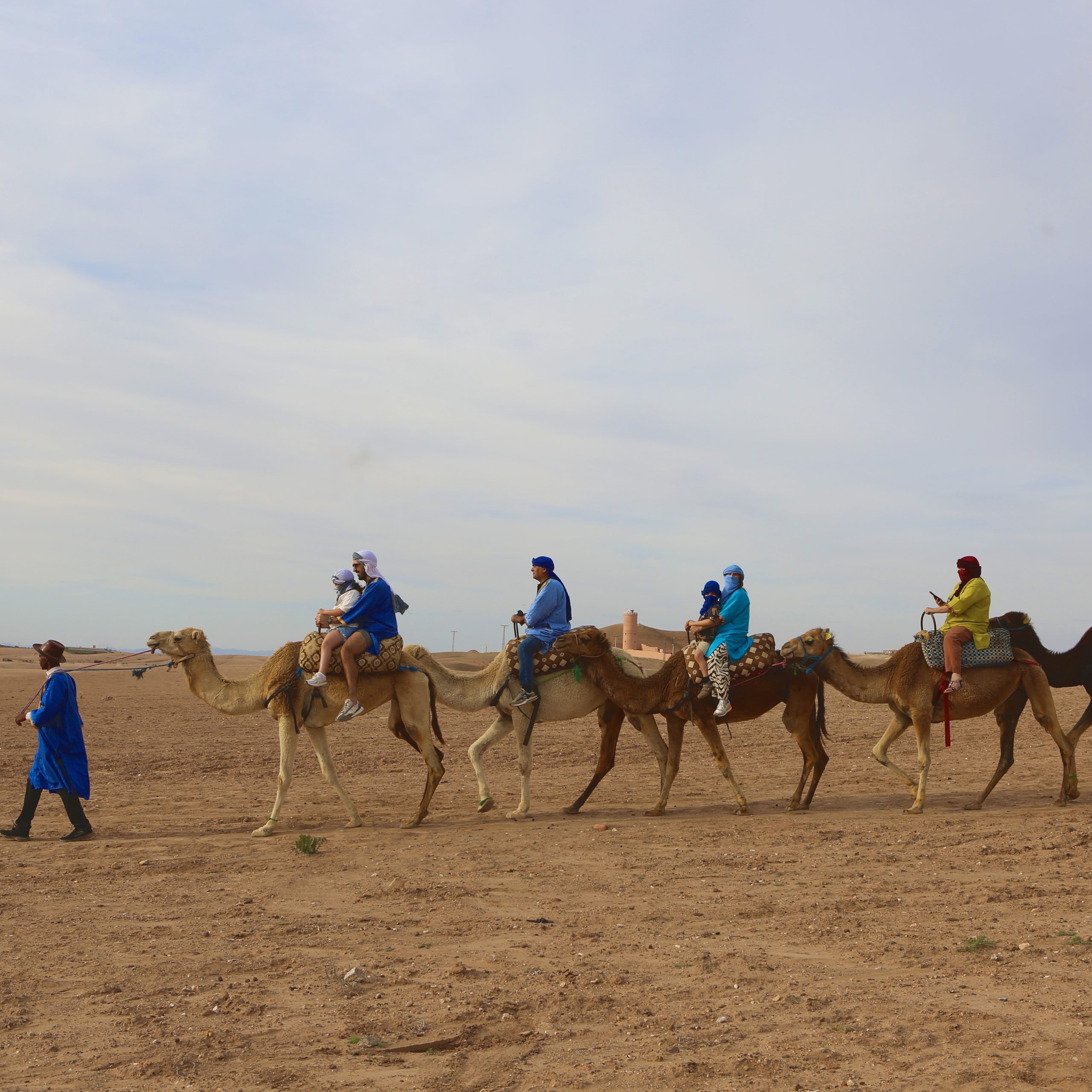 Camel Ride in the Agafay Desert