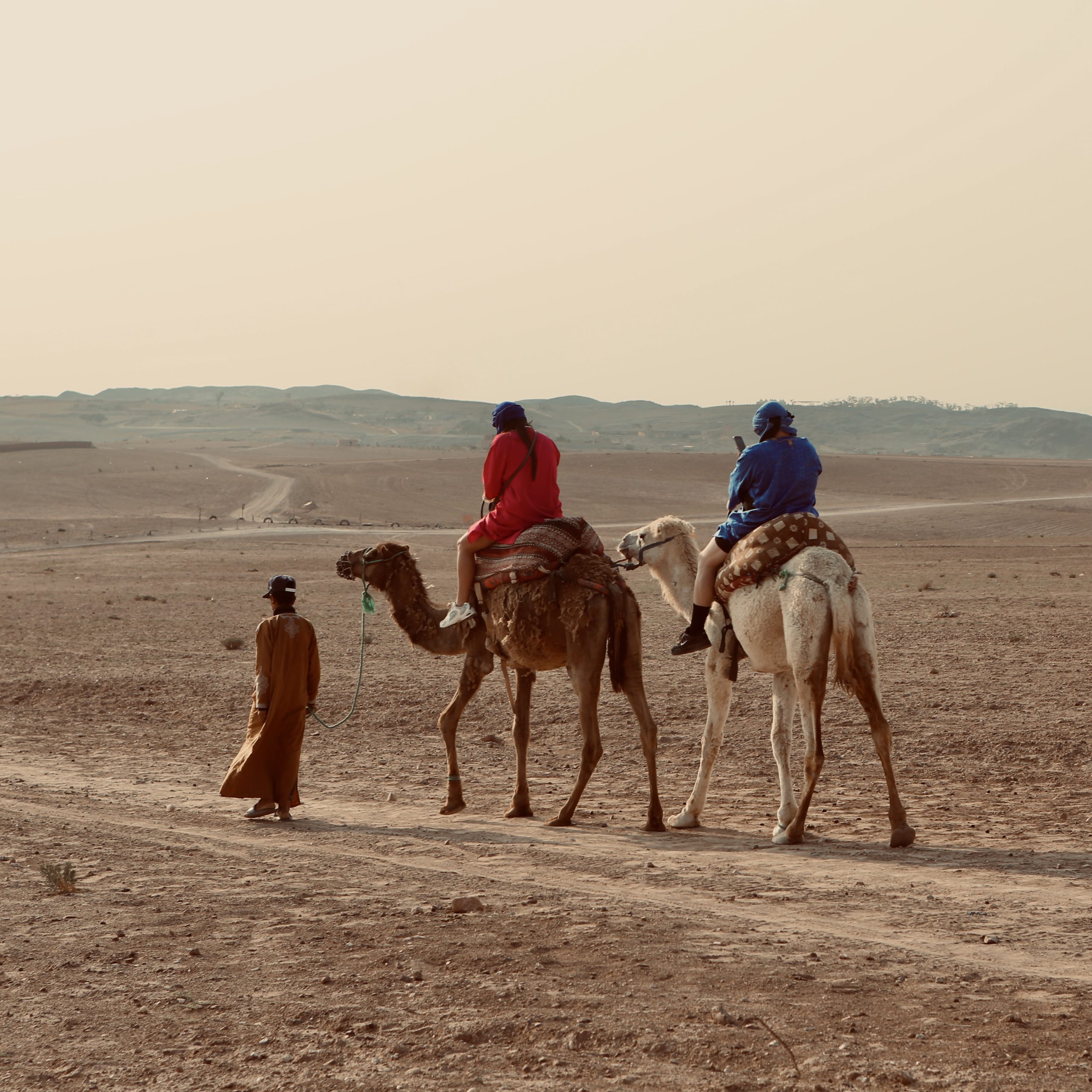 Camel Ride in the Agafay Desert