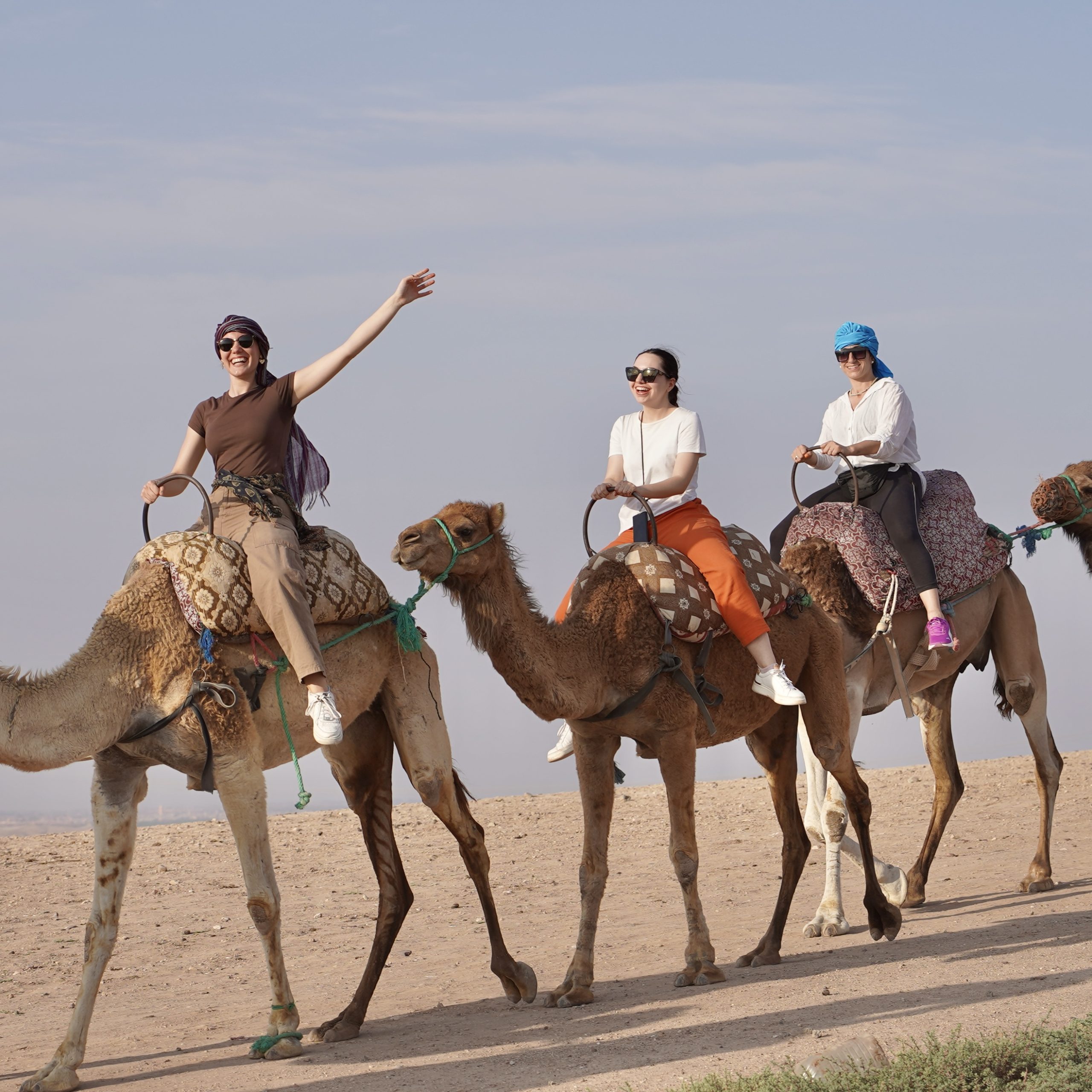 Camel Ride in the Agafay Desert