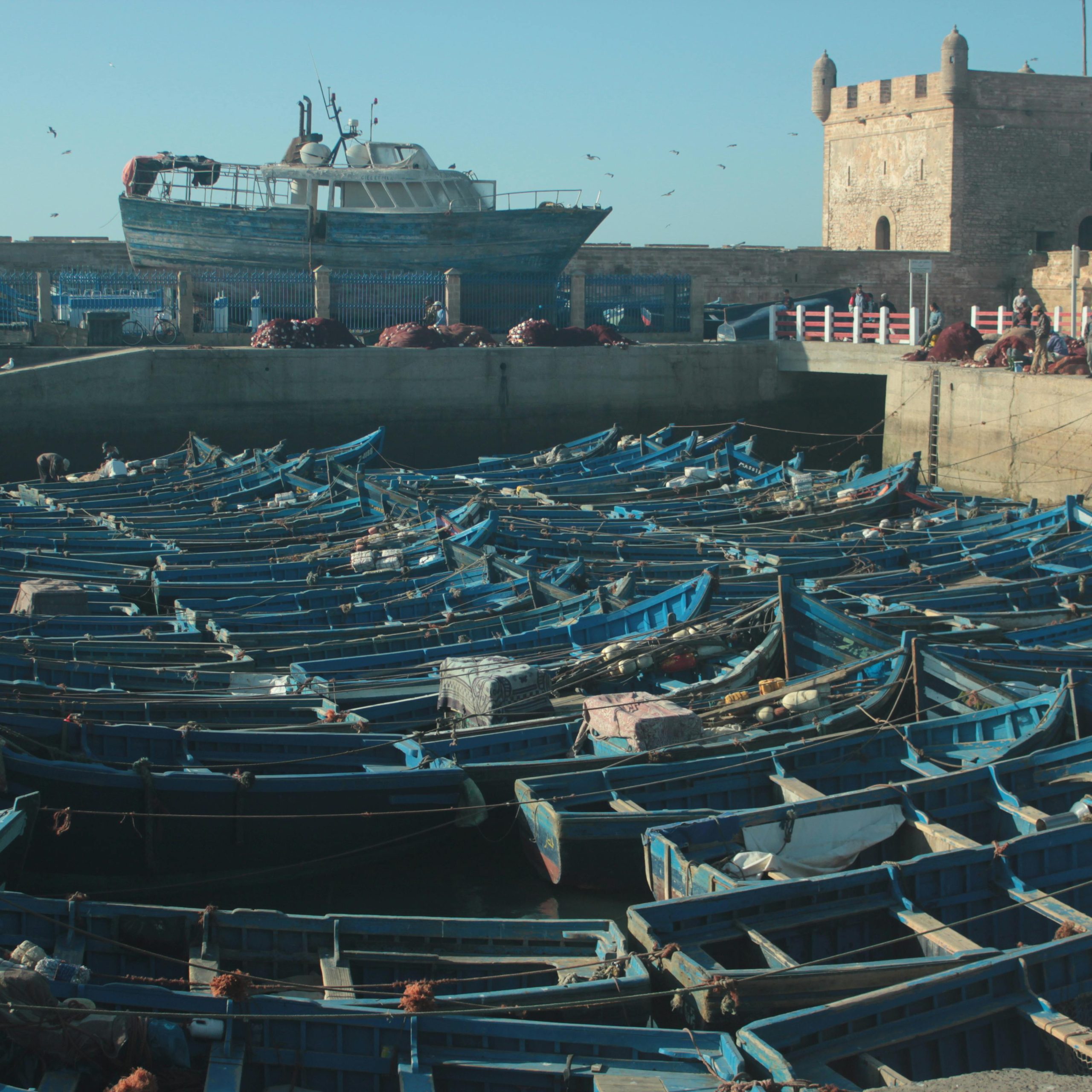 Essaouira Day Trip From Marrakech