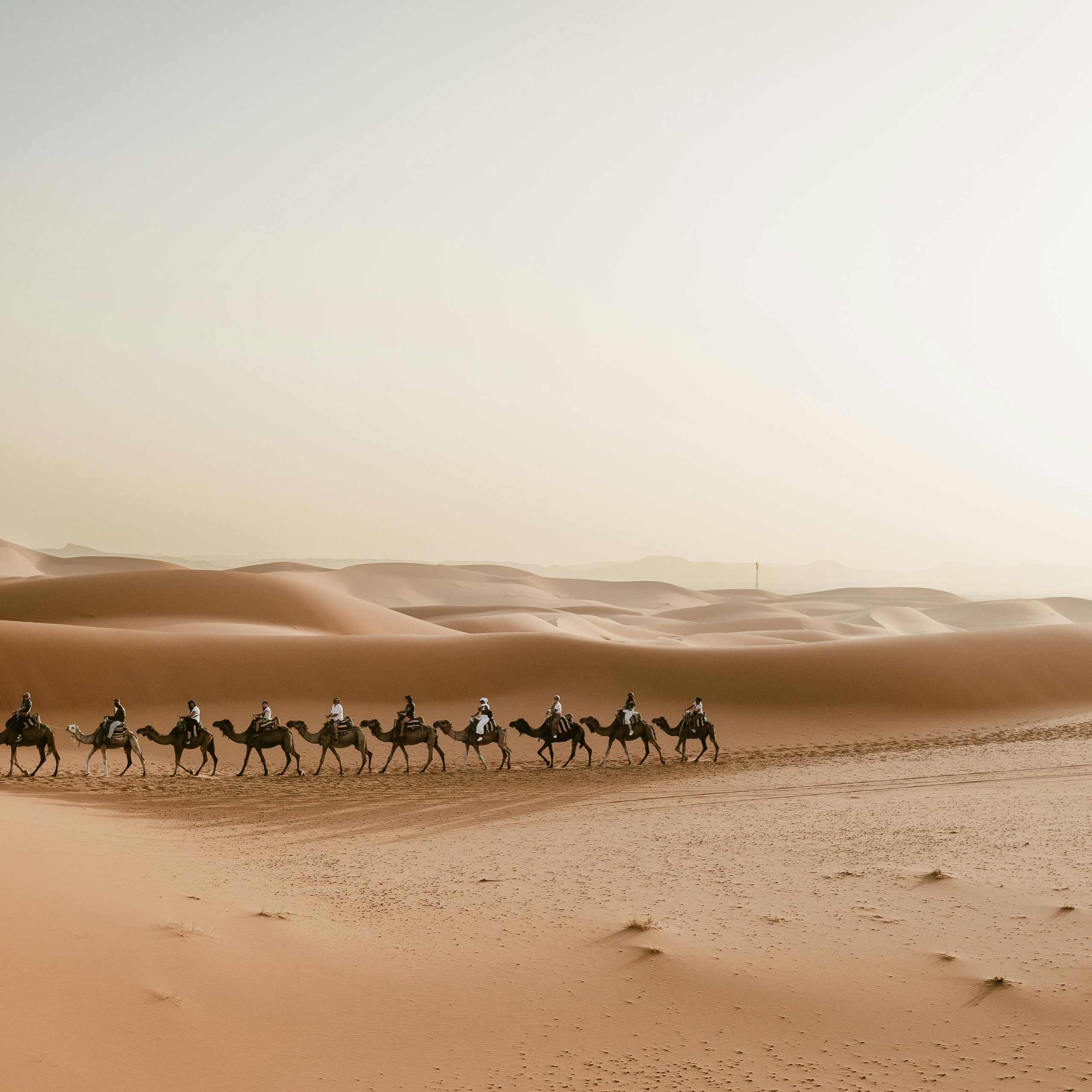 3 Days Desert Tour From Marrakech To Merzouga Dunes & Camel Trek