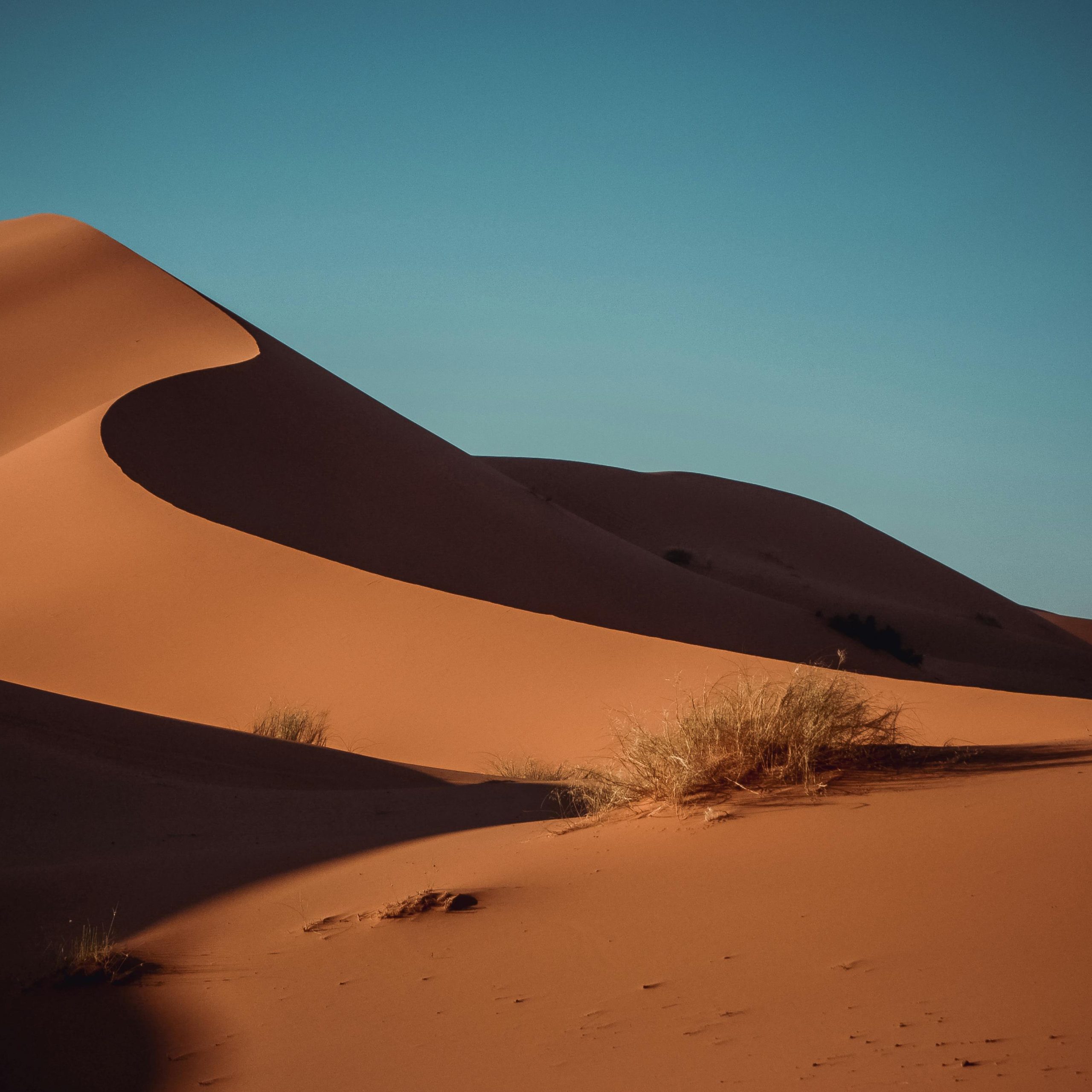 3 Days Desert Tour From Marrakech To Merzouga Dunes & Camel Trek