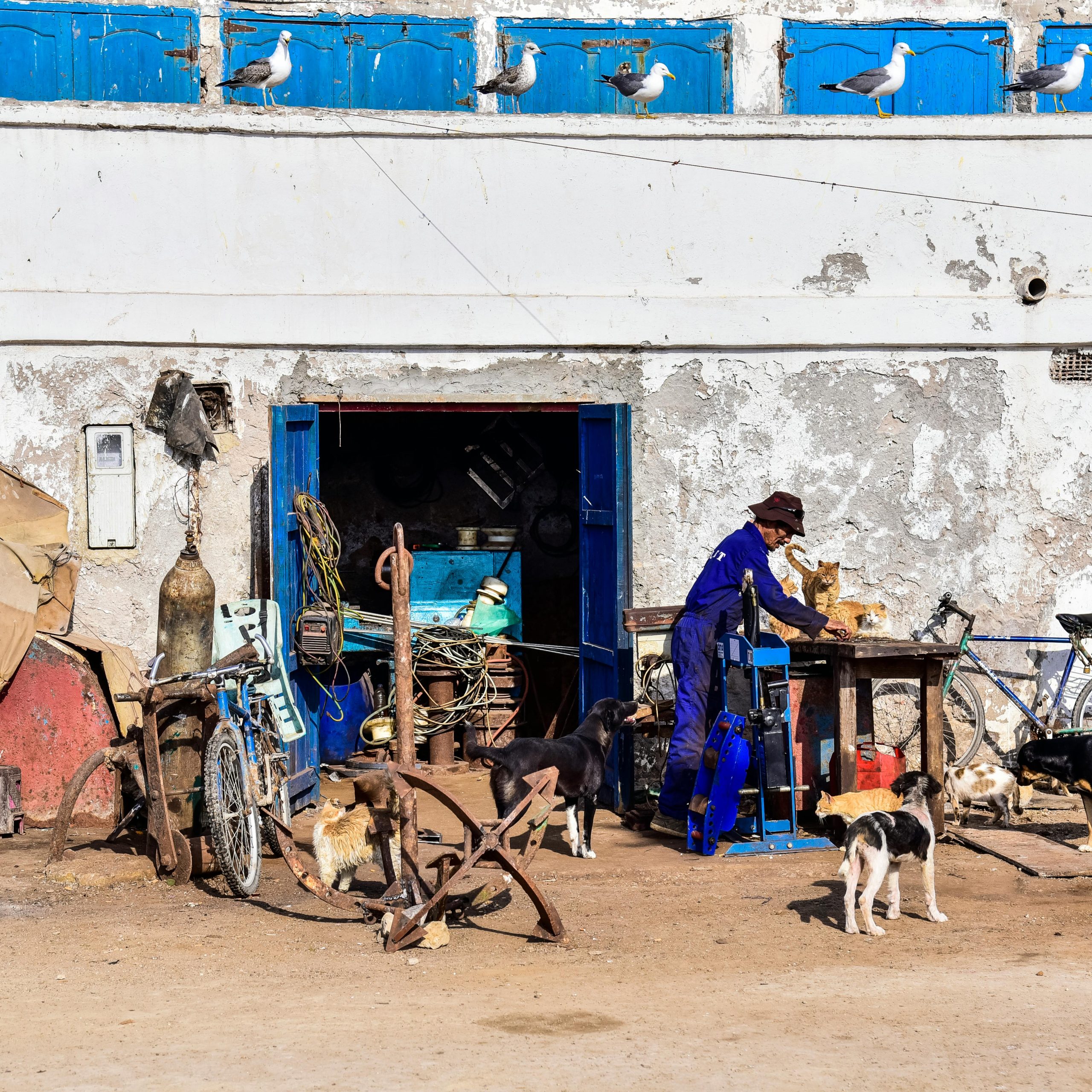Essaouira Day Trip From Marrakech