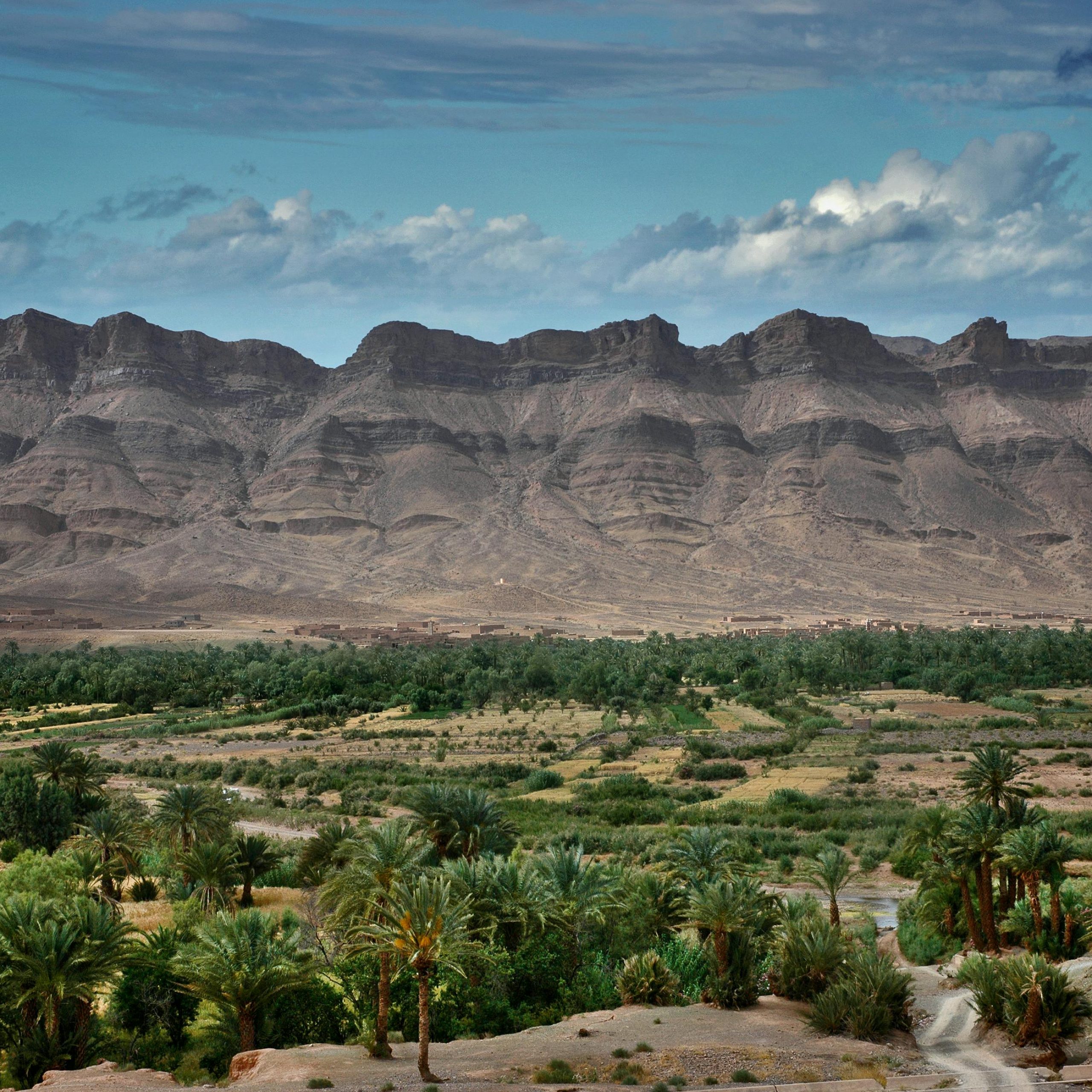 Zagora Desert: 2-Day Trip from Marrakesh